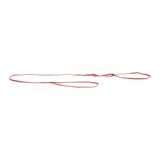 Ринговка Collar нейлонова «DOGextreme» 1,30 м / 5 мм (червона) - С43233