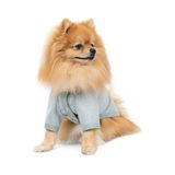 Кардиган для собак Pet Fashion Denis XS