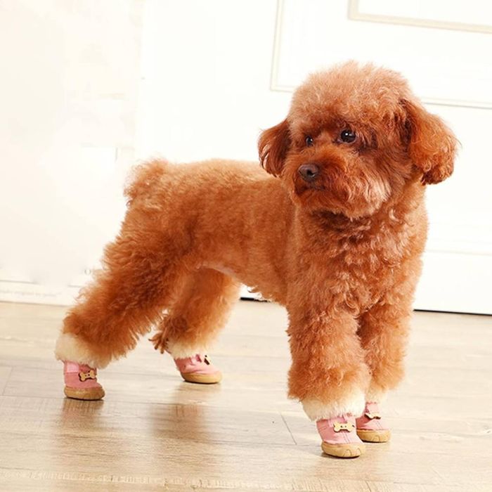 Ботинки для собак Ruispet с утеплителем 3,5 x 2,7см №1 4 шт - masterzoo.ua