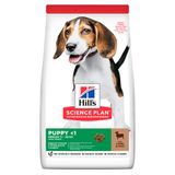 Сухой корм для щенков Hill’s Science Plan Puppy Medium Breed 2,5 кг - ягненок и рис