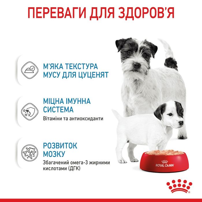 Паштет для собак для щенков Royal Starter Mousse dog 195г - домашняя птица - masterzoo.ua