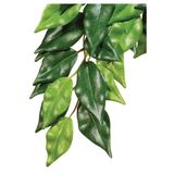 Декорация для террариума Exo Terra растение «Ficus» M (шёлк)
