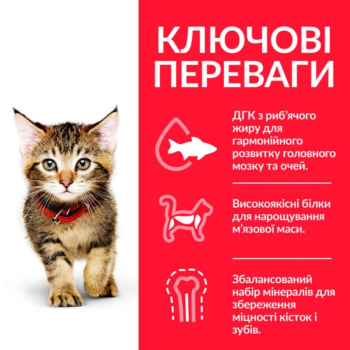 Сухий корм для кошенят Hill's Science Plan Kitten 1,5 кг - курка - masterzoo.ua