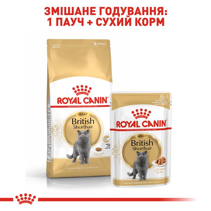 Вологий корм для дорослих котів породи британська короткошерста Royal Canin British Shorthair Adult pouch 85 г (домашня птиця) - masterzoo.ua