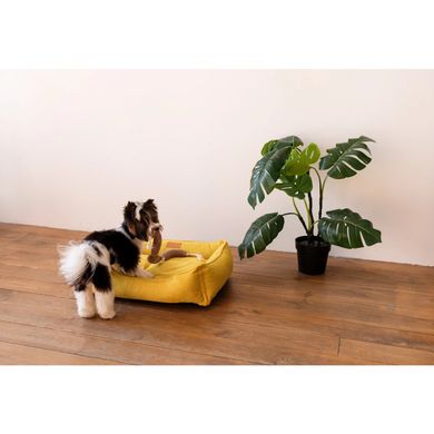 Лежак для собак та котів Harley and Cho Dreamer Yellow Velvet S 60 x 45 см - masterzoo.ua