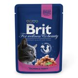 Влажный корм для кошек Brit Premium Salmon & Trout pouch 100 г (лосось и форель)