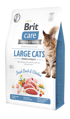 Сухий корм для котів великих порід Brit Care Cat GF Large cats Power & Vitality 2 кг - курка і качка - masterzoo.ua