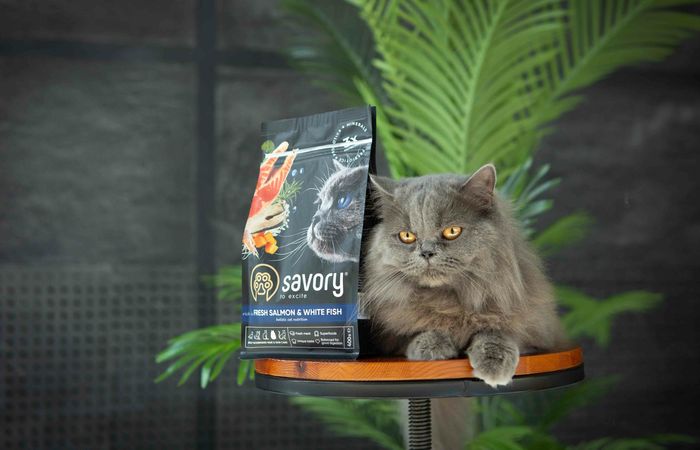 Сухой корм для длинношерстных кошек Savory 400 г - лосось - masterzoo.ua