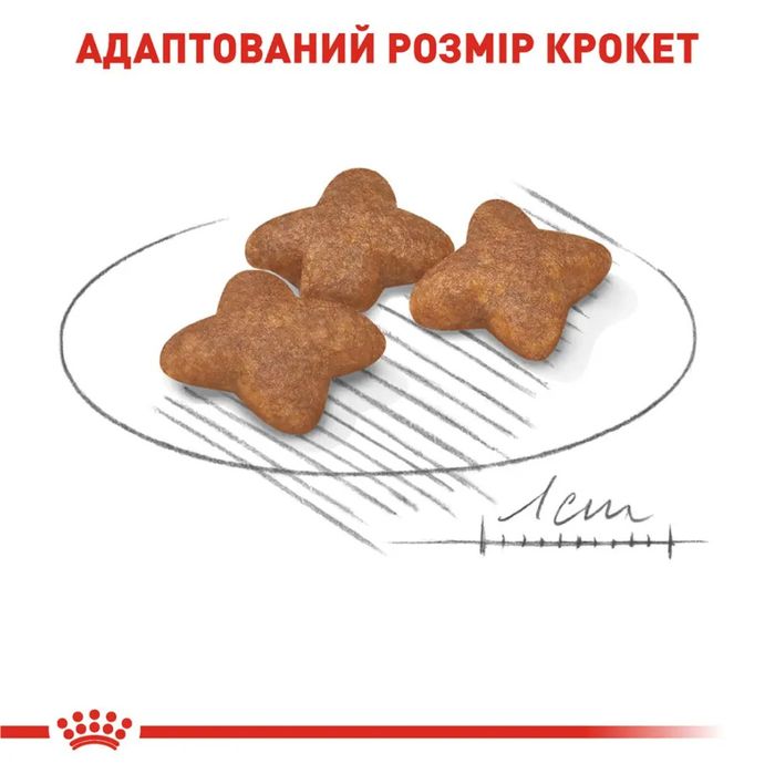 Сухий корм для собак дрібних порід Royal Canin Mini Adult 800 г - домашня птиця - masterzoo.ua