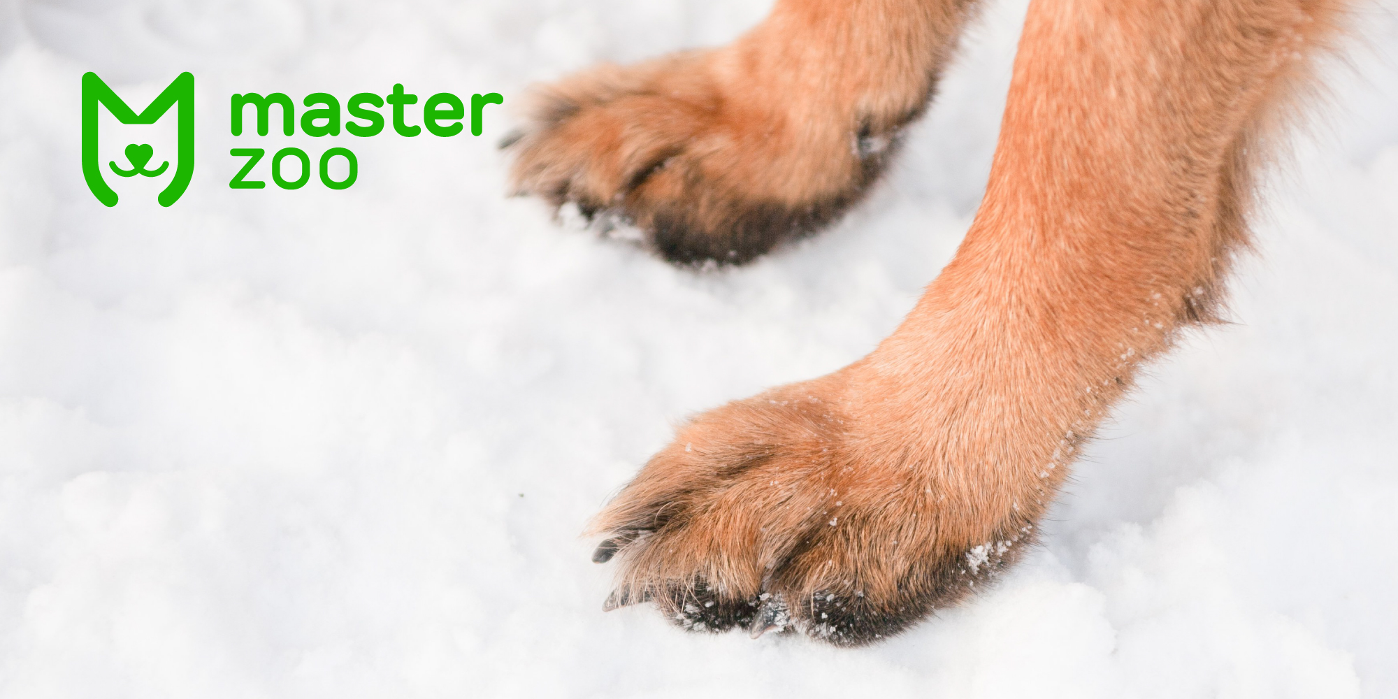 Уход за лапами собаки в зимний период | Зоомагазин MasterZoo