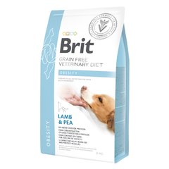 Сухий корм для собак, для зниження ваги Brit GF Veterinary Diet Dog Obesity 2 кг (ягня) - masterzoo.ua