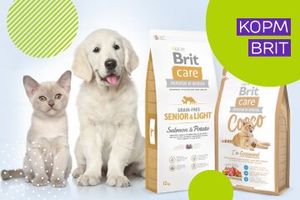 Чеський виробник кормів для котів та собак - Brit