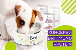 Консерви для собак Brit Mono Protein