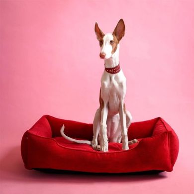Лежак для собак та котів Harley and Cho Dreamer Red Velvet S 60 x 45 см - masterzoo.ua