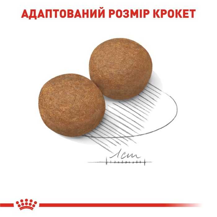 Сухий корм для собак Royal Canin Maxi Adult 3,2 кг + 800 г - masterzoo.ua