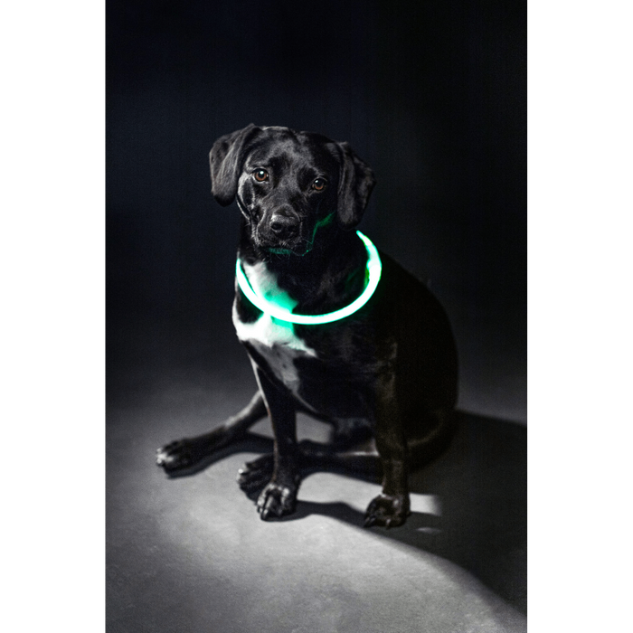 Ошейник для собак Trixie Flash Light Ring USB S-M - зеленый - masterzoo.ua