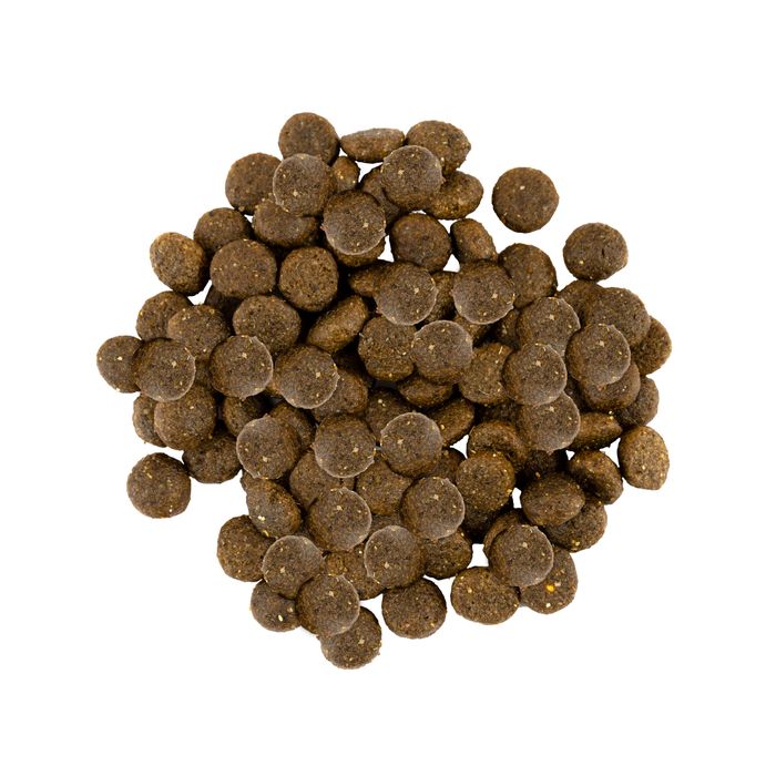 Сухой корм для собак малых пород Savory 8 кг (индейка и ягненок) - masterzoo.ua