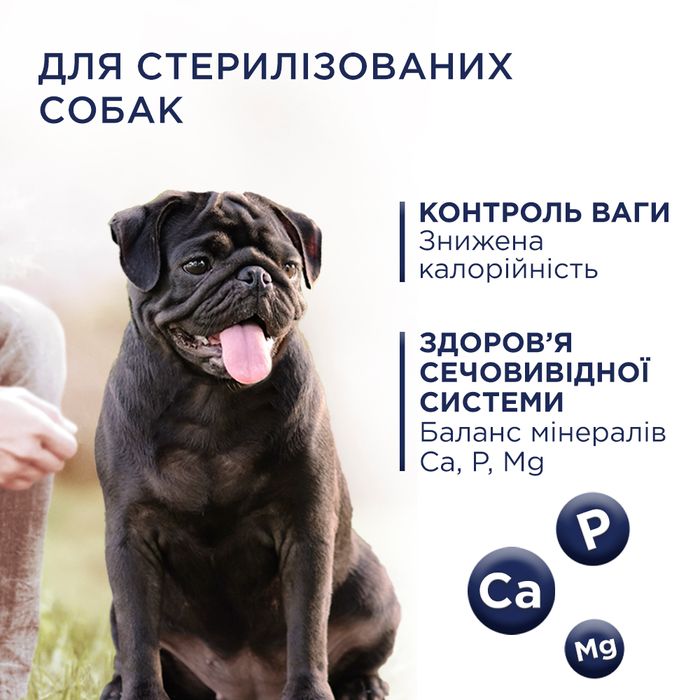 Сухий корм для собак Сlub 4 Paws Premium Adult Small Breeds Light 5 кг - індичка - masterzoo.ua