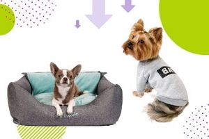Pet Fashion - український бренд одягу і аксесуарів для котів та собак