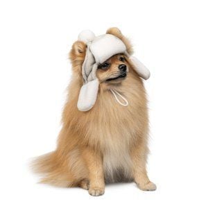 Шапка для собак Pet Fashion &laquo;Bubo&raquo; XS - masterzoo.ua