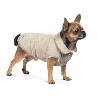 Pet Fashion Lucky жилет для собак S-2 - masterzoo.ua