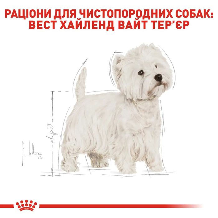 Сухий корм для собак Royal Canin West Highland White Terrier Adult 3 кг - masterzoo.ua