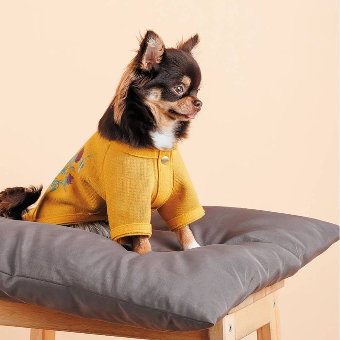 Кардиган для собак Pet Fashion Denis XS-2 - masterzoo.ua