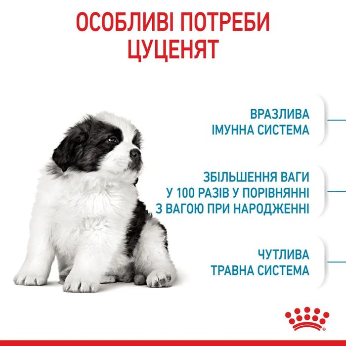 Набір для цуценят Royal Canin Giant Puppy 1 кг + 5 шт Educ 50 г - masterzoo.ua