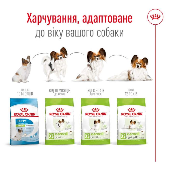 Сухий корм для собак Royal Canin X-Small Adult 500 г - masterzoo.ua