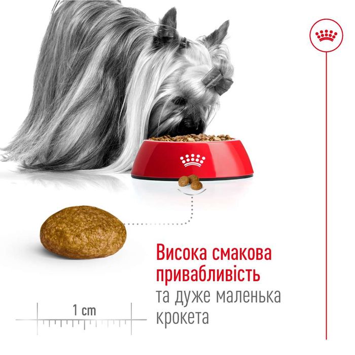 Сухий корм для собак Royal Canin X-Small Adult 500 г - masterzoo.ua