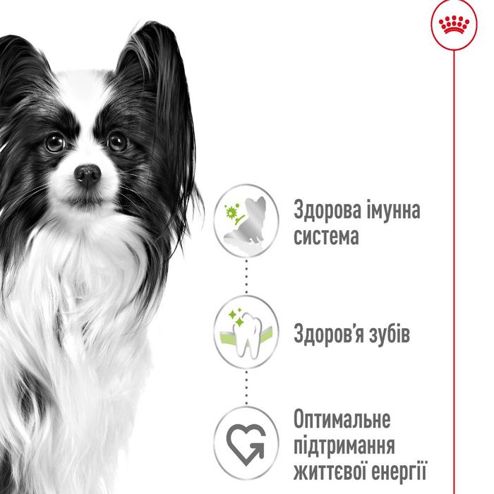 Сухой корм для собак Royal Canin X-Small Adult 500 г - masterzoo.ua