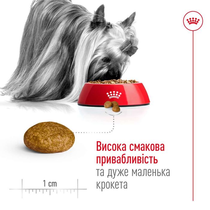 Сухой корм для собак Royal Canin X-Small Adult 8+, 3 кг - masterzoo.ua