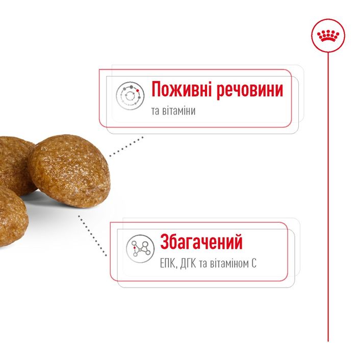 Сухой корм для собак Royal Canin X-Small Adult 8+, 3 кг - masterzoo.ua