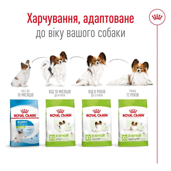 Сухой корм для собак Royal Canin X-Small Adult 8+, 3 кг - masterzoo.ua