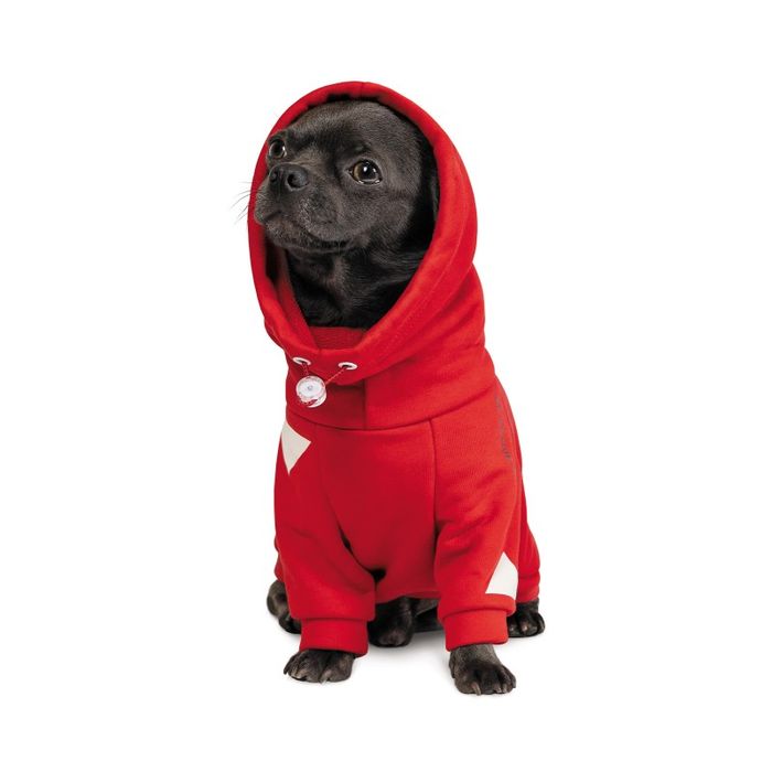 Худи для собак Pet Fashion «Snoodie» M-2 (красный) - masterzoo.ua