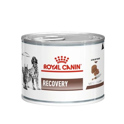 Влажный корм для котов и собак Royal Canin Recovery 195 г - dgs - masterzoo.ua