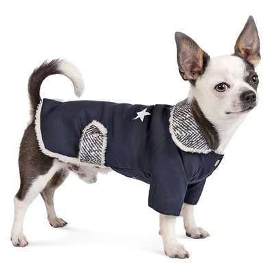 Жакет для собак Pet Fashion «Sirius» XS-2 - masterzoo.ua