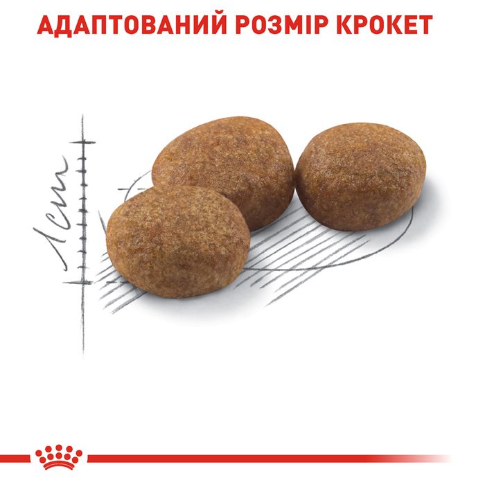 Сухой корм для кошек Royal Canin Sterilised 37, 3,2 кг + 800г - masterzoo.ua