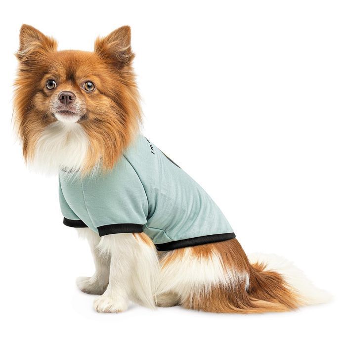 Pet Fashion Oscar футболка для собак XS - masterzoo.ua