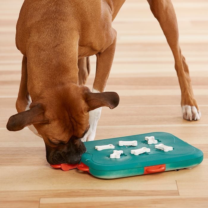 Nina Ottosson Dog Casino игрушка для собак 24,5х31,5х3,5 см - разноцветный - masterzoo.ua
