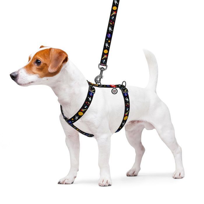 Шлейка для собак Collar Nylon Н-образная S - черный - masterzoo.ua