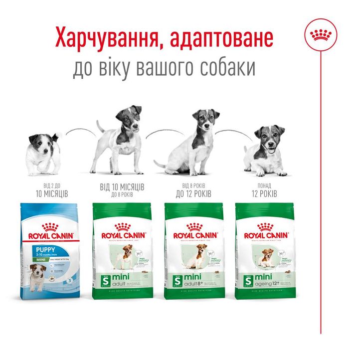 Сухий корм для собак Royal Canin Mini Ageing 12+ 800 г - masterzoo.ua