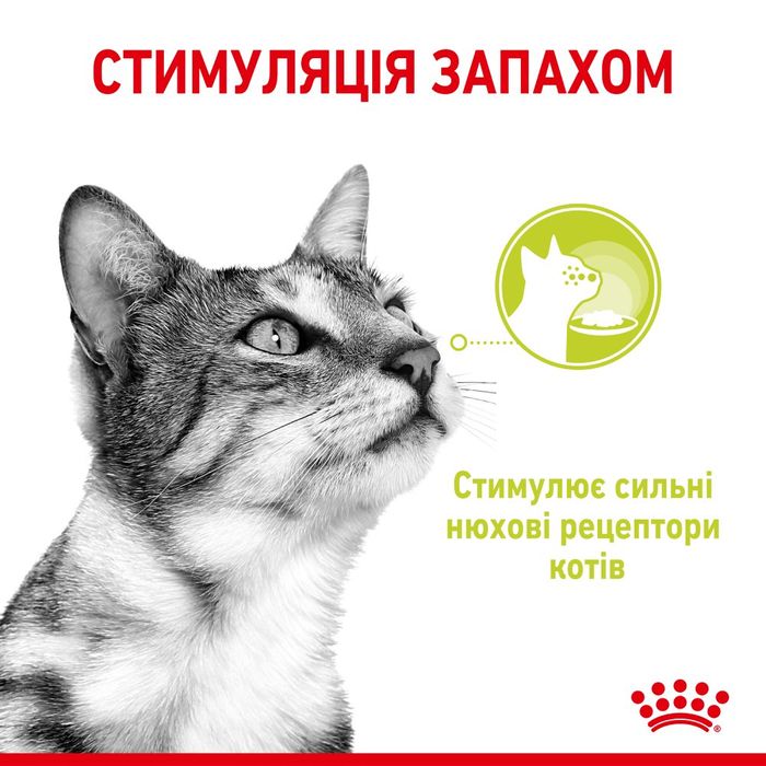 Вологий корм для вибагливих до запаху котів Royal Sensory Smell pouch у соусі 85 г - masterzoo.ua