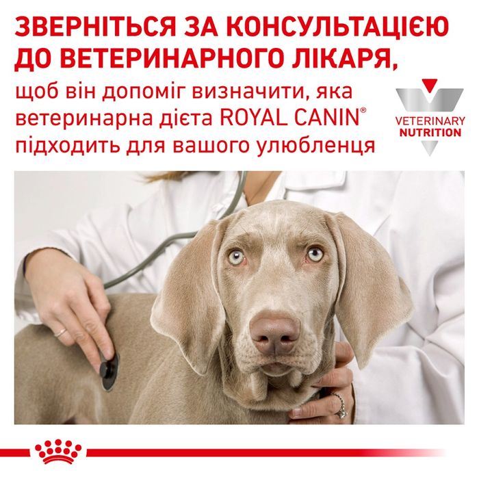Вологий корм для котів і собак у період реабілітації Royal Canin Recovery 195 г - домашня птиця - dgs - masterzoo.ua