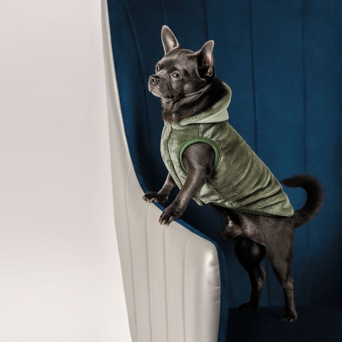 Жилетка для собак Pet Fashion «LOUIS» S - masterzoo.ua