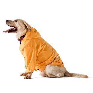 Noble Pet Moss дождевик для собак L - masterzoo.ua
