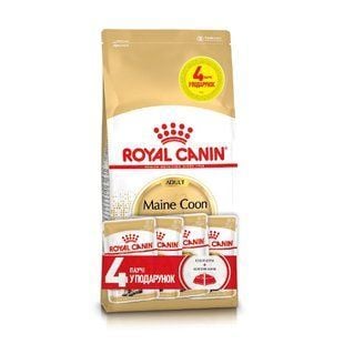 Набір сухого та вологого корму для котів Royal Canin Maine Coon Adult 2 кг + 4 шт х 85 г - masterzoo.ua
