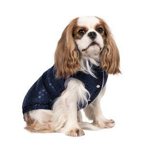 Pet Fashion Lucky жилет для собак S-2 - masterzoo.ua
