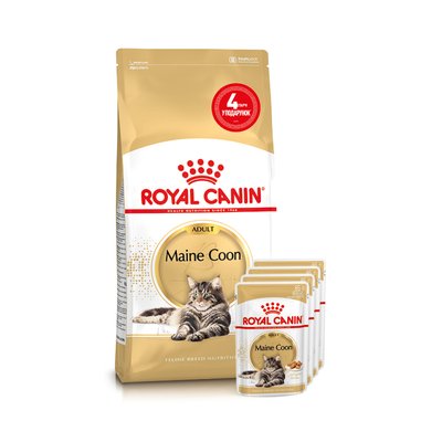 Набор корма для кошек Royal Canin Maine Coon Adult 2 кг + 4 pouch - домашняя птица - masterzoo.ua