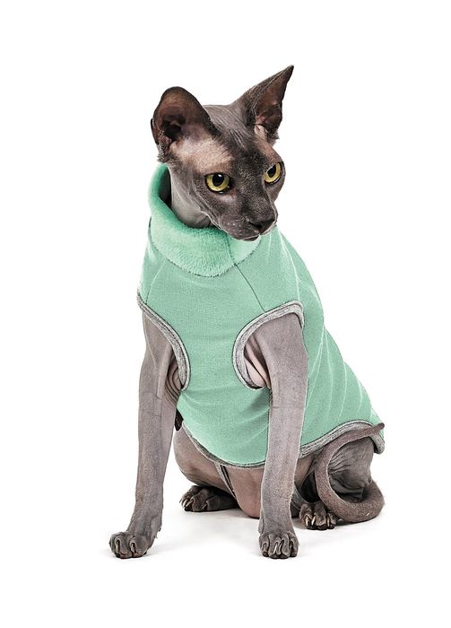 Свитер для кошек Pet Fashion «Брюс» XXS (зелёный) - masterzoo.ua